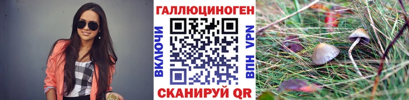 kraken ТОР  мориарти наркотические препараты  Псилоцибиновые грибы Psilocybe  Ессентукская 